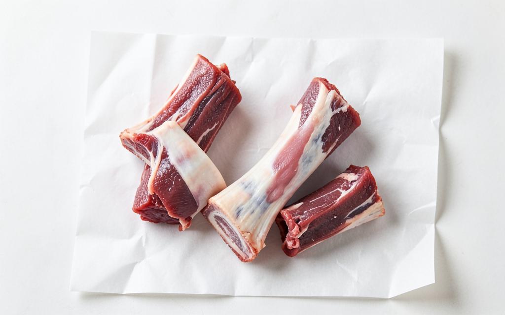 Reference photo of bones for stock