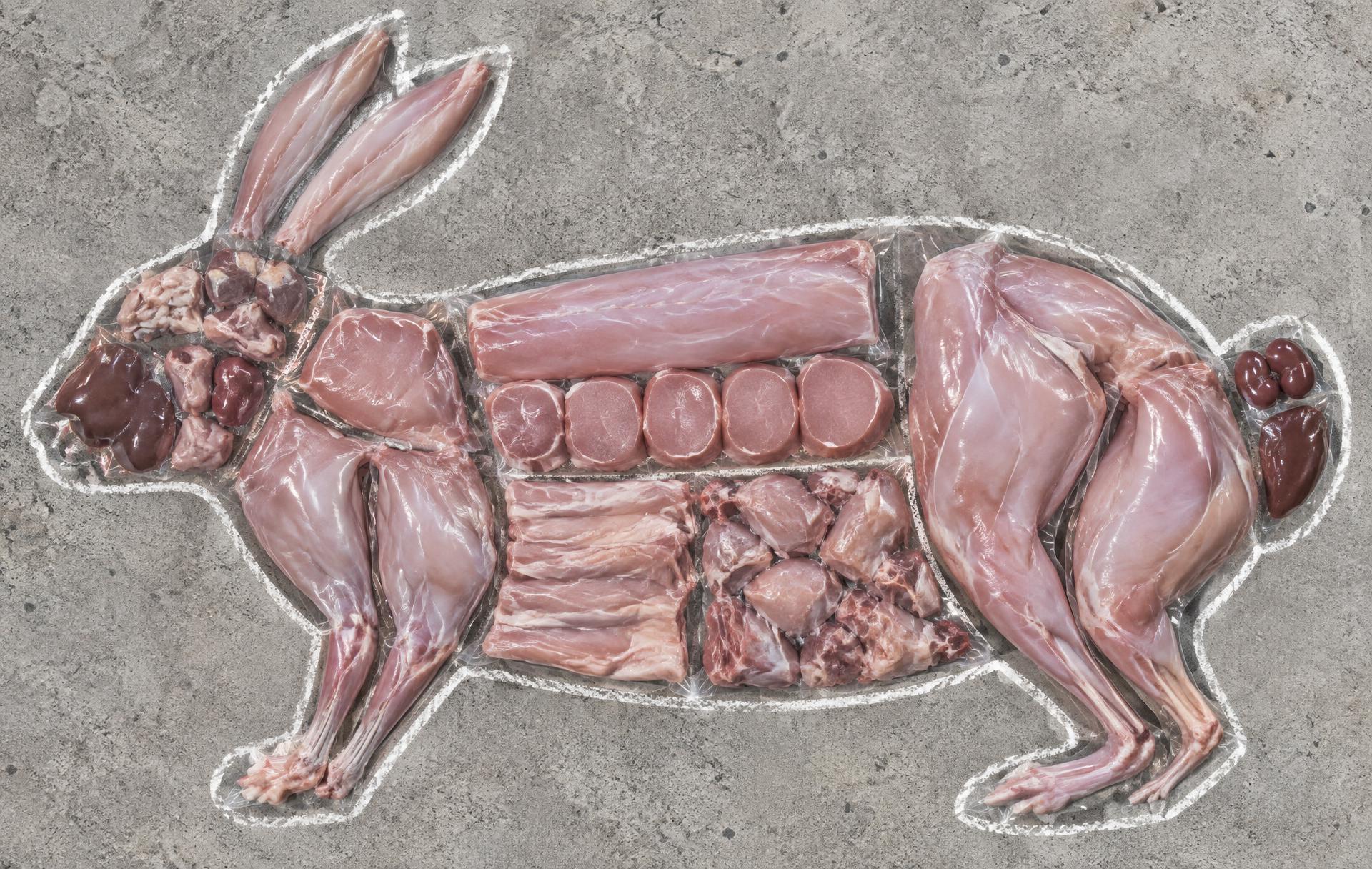 Every package of meat that comes out of one rabbit, laid out inside its outline