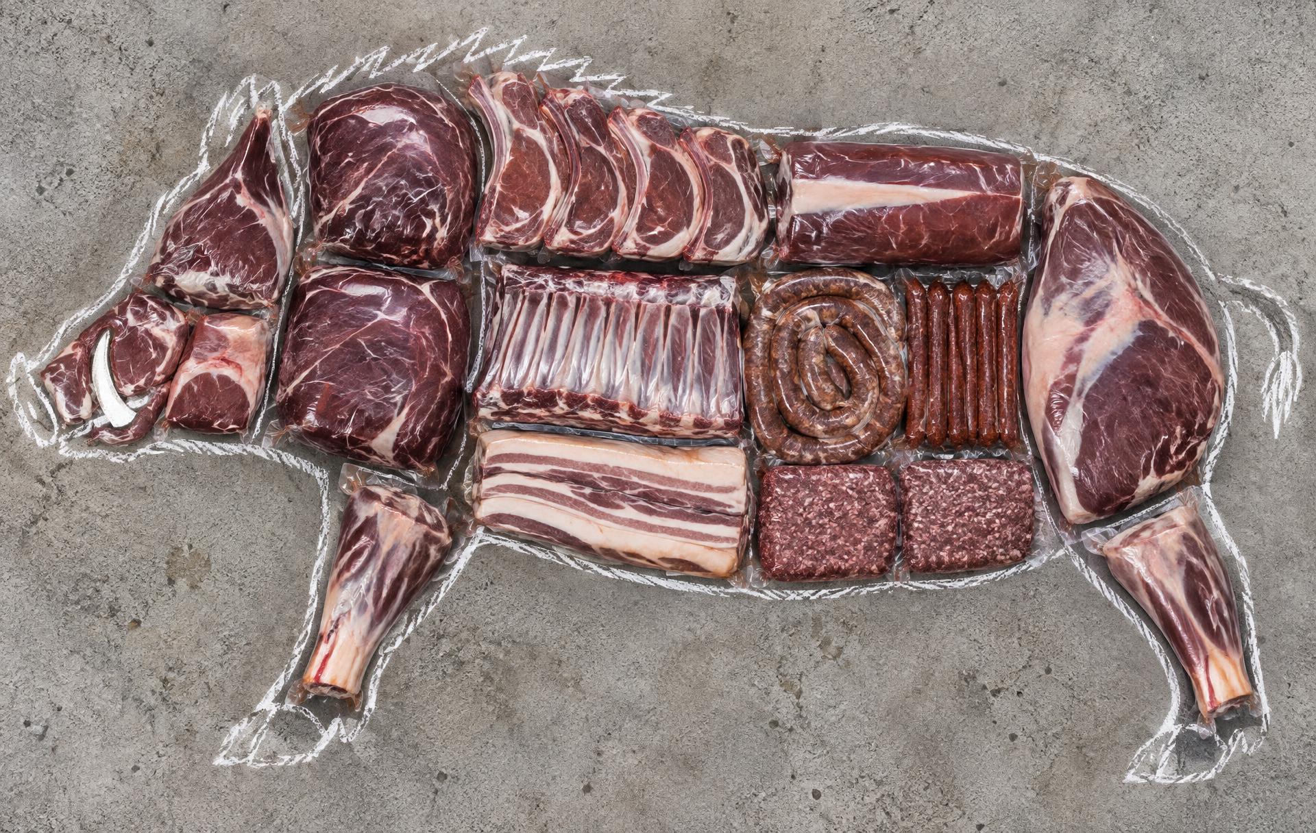 Every package of meat that comes out of one wild hog, laid out inside its outline